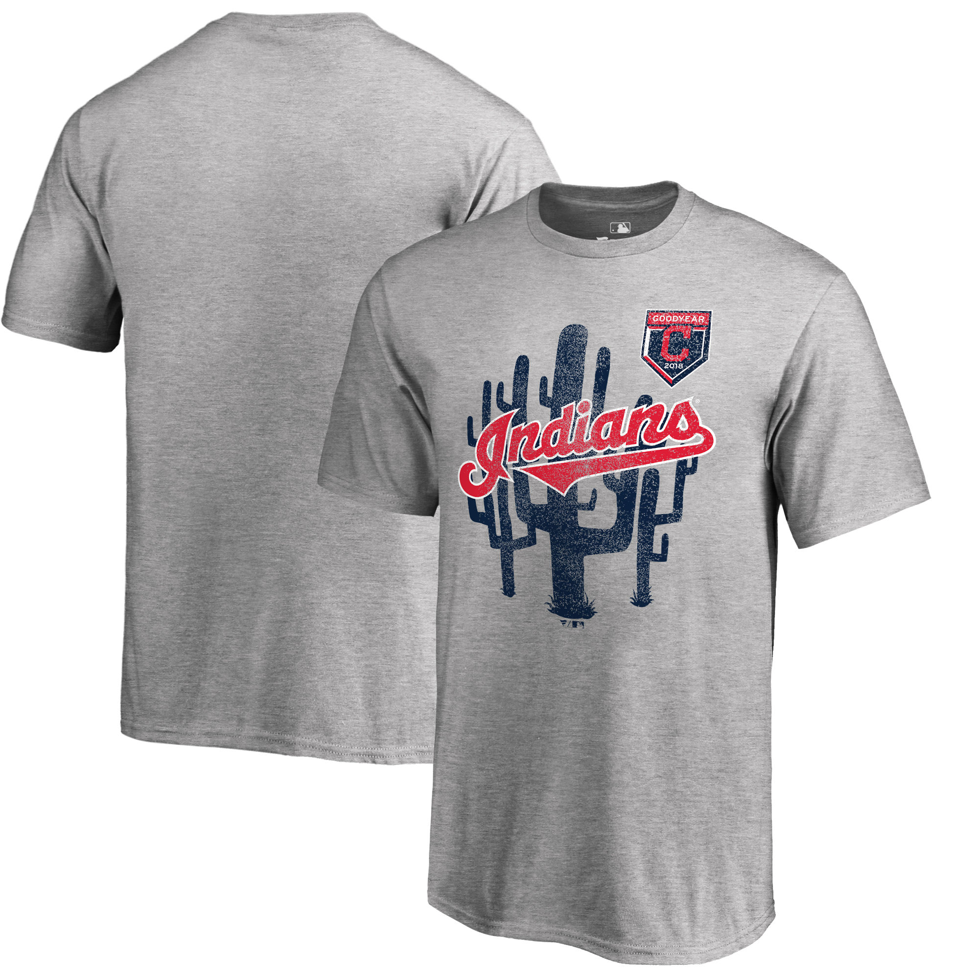 Men's Cleveland Indians Fanatics Branded 2018 MLB Spring Training Vintage T-Shirt – Heather Gray